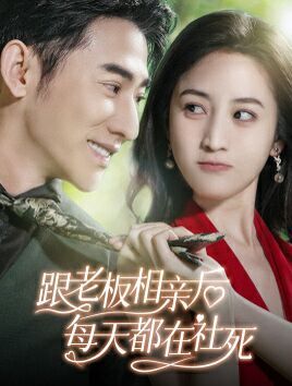 电影：跟老板相亲后每天都在社死