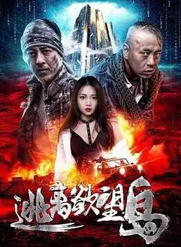 电影:逃离欲望岛