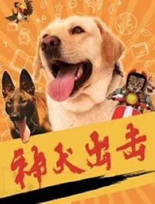 电影:神犬出击