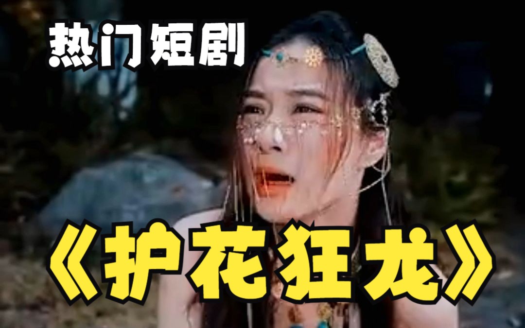 电影：护花狂龙