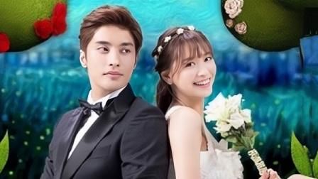 电影：灰姑娘的恋爱契约