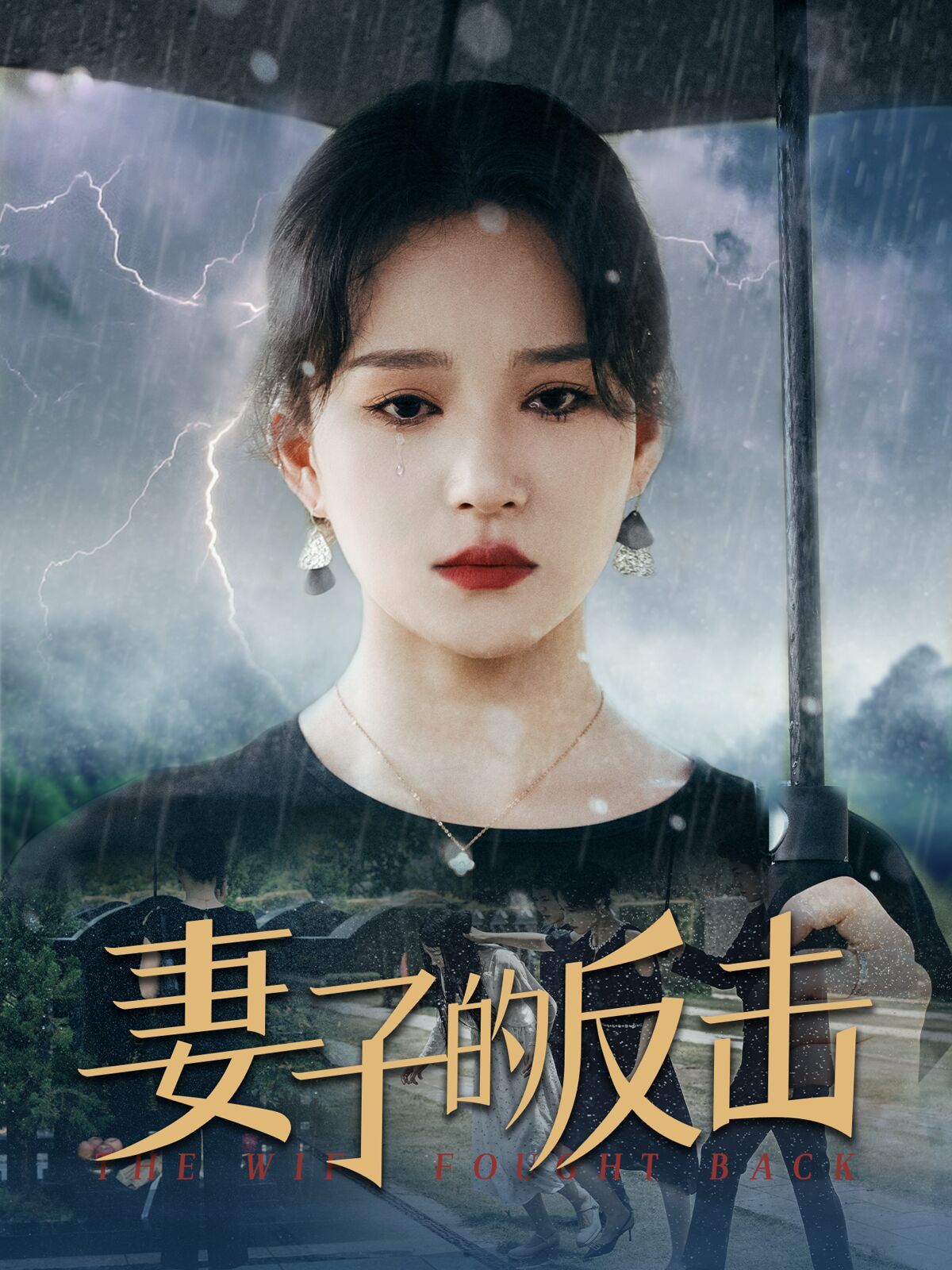 电影：新妻子的反击