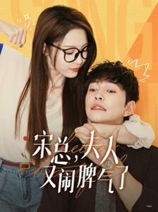 电影：宋总，夫人又闹脾气了