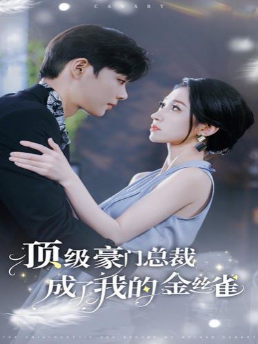 电影：顶级豪门总裁成了我的金丝雀