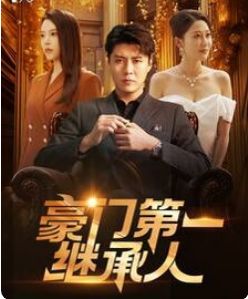 电影：豪门第一继承人