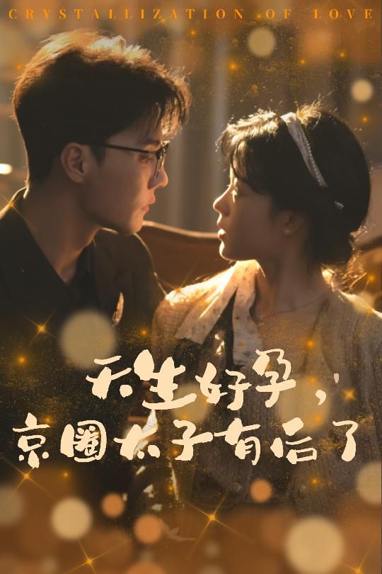 电影：天生好孕京圈太子有后了（你与光共落人间）