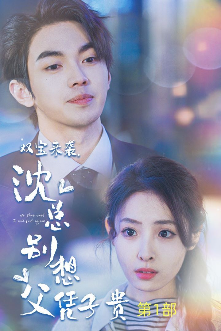 电影：双宝来袭沈总别想父凭子贵（报告妈咪便宜爹地竟是总裁）