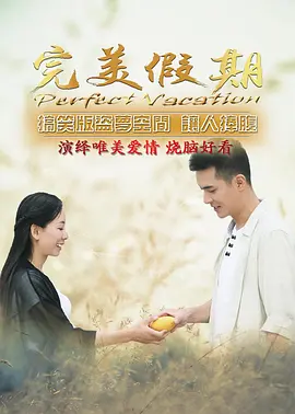 电影:完美假期之从雪山到大海