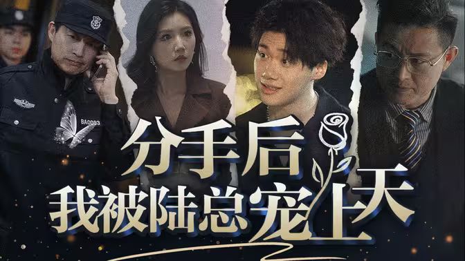 电影：分手后，我被陆总宠上天