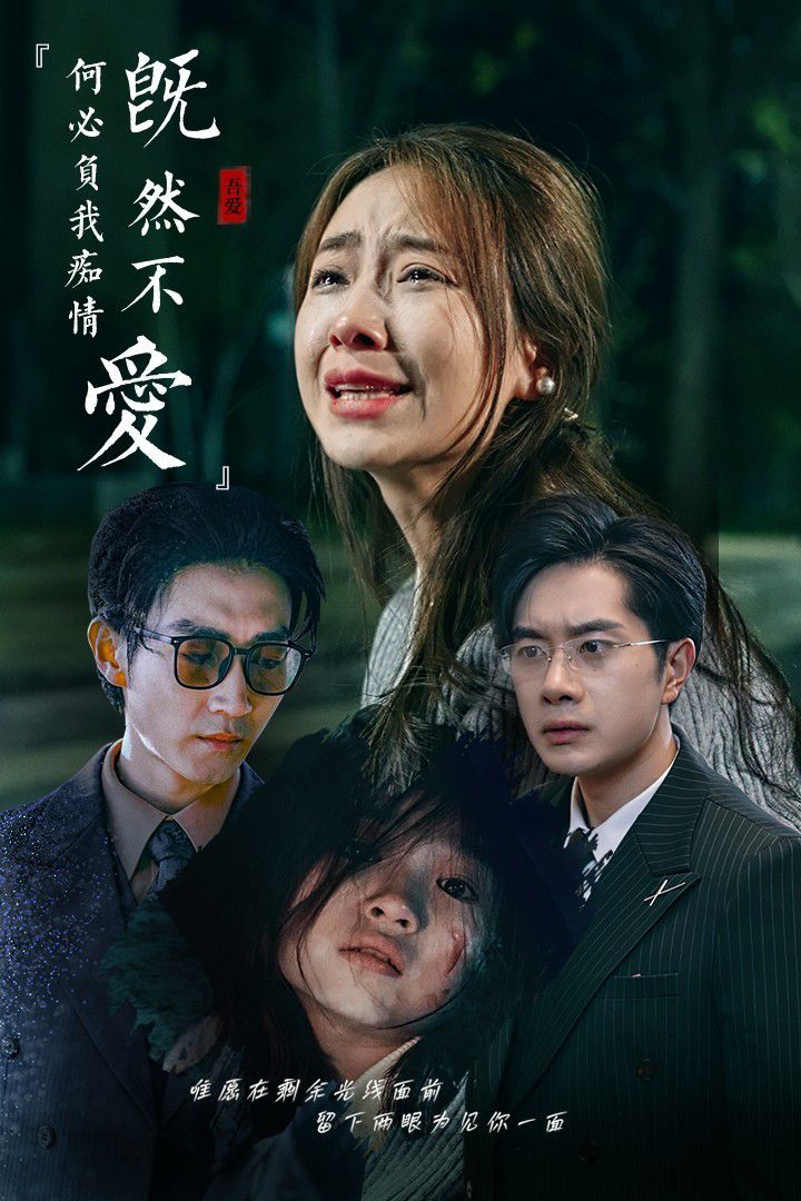 电影：既然不爱何必负我痴情