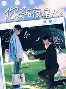 电影：你是暗夜星火