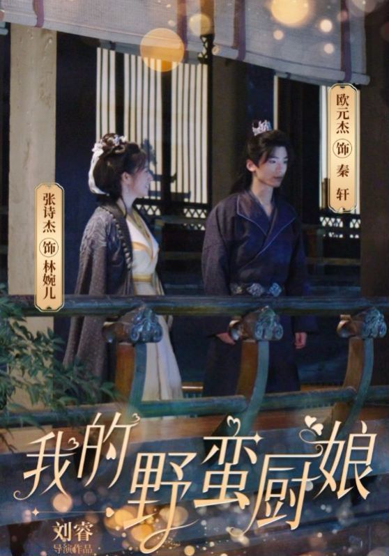 电影:我的野蛮厨娘