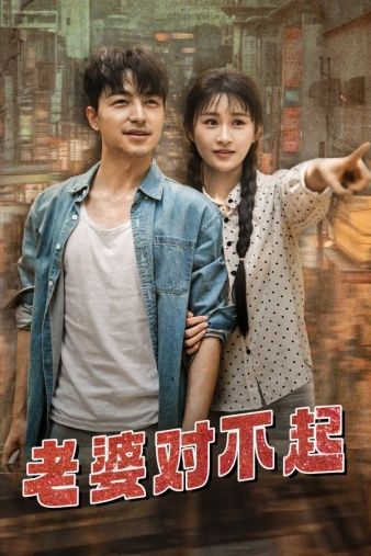 电影：老婆对不起