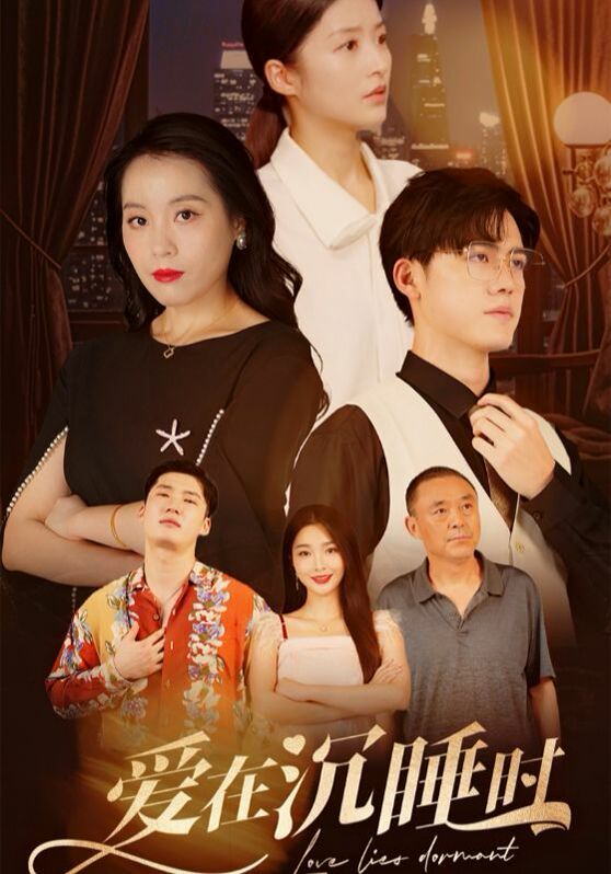 电影：爱在沉睡时