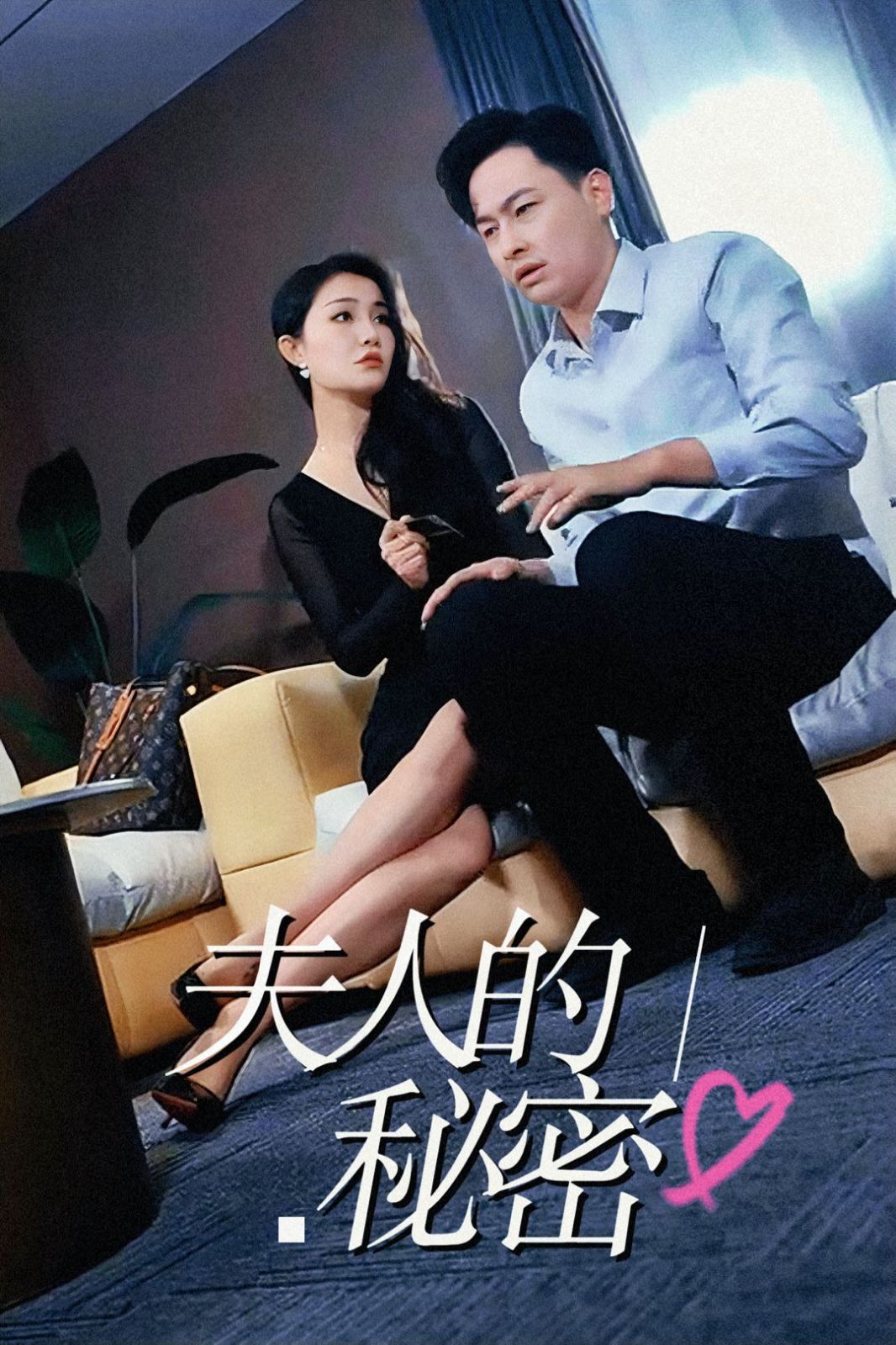 电影：夫人的秘密