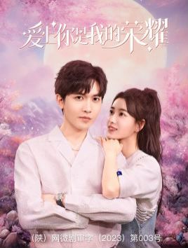 电影:爱上你是我的荣耀