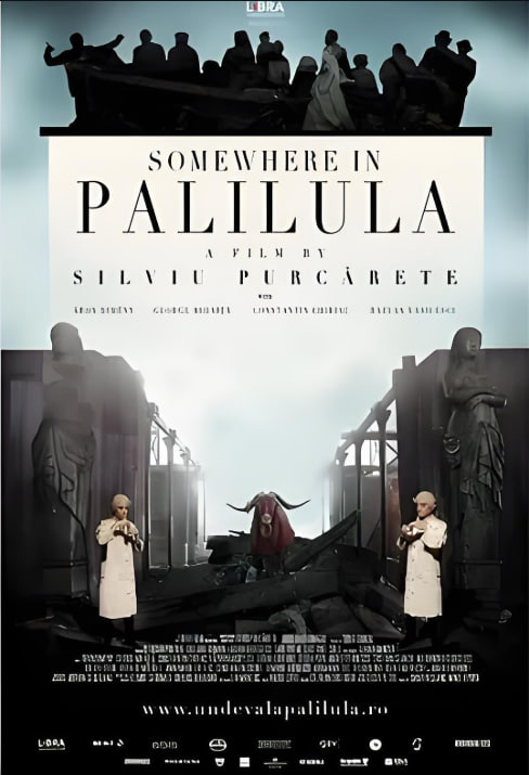 电影：帕利路拉某处