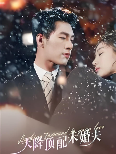 电影：天降顶配未婚夫 (挖机救场天降顶配未婚夫)