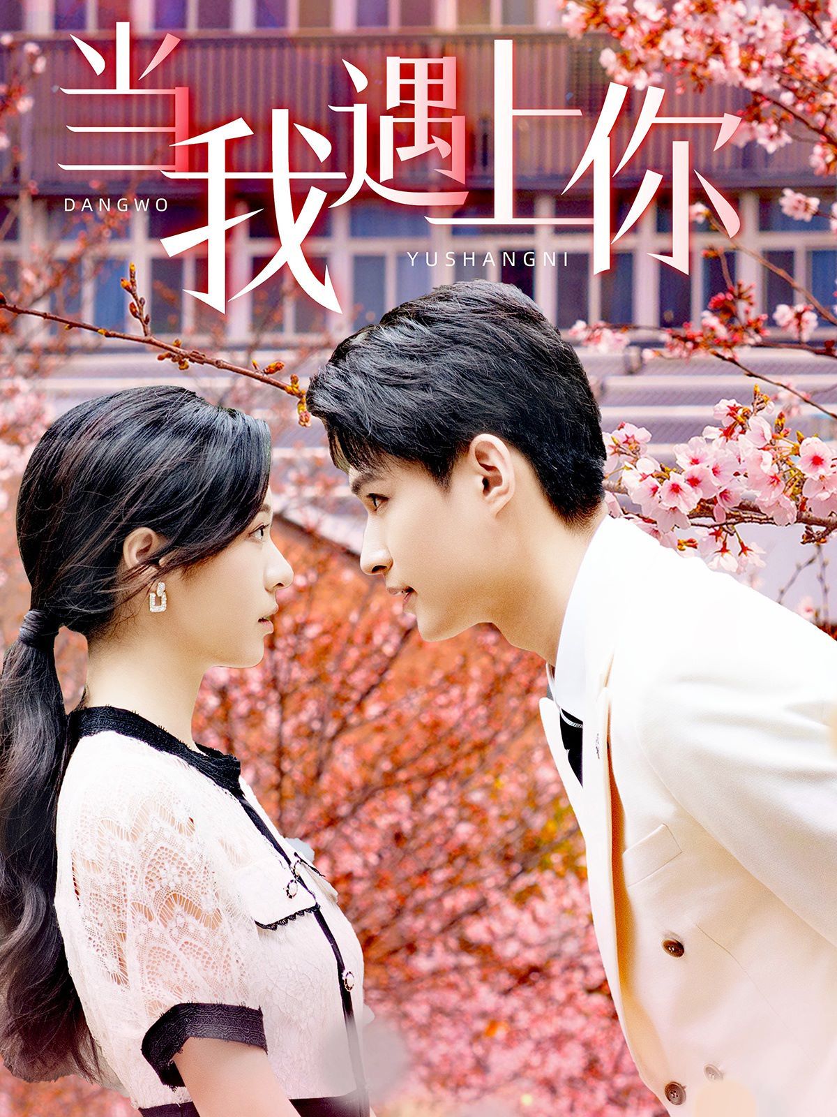 电影：当我遇上你