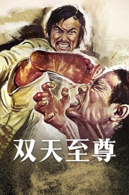电影:双天至尊