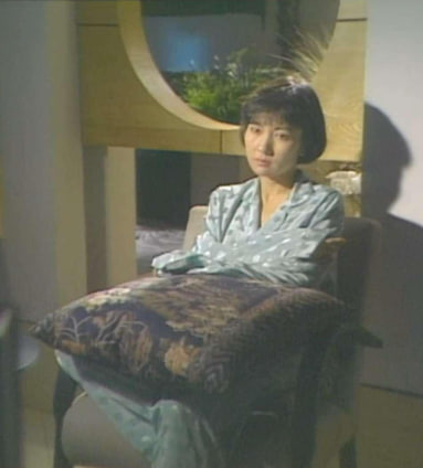 电影:帝女情未了