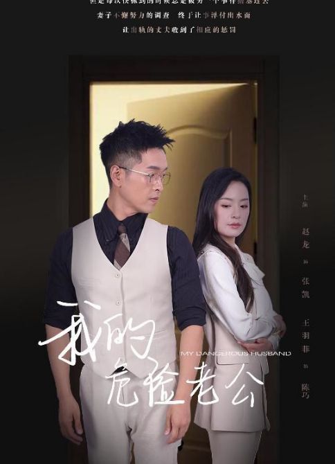 电影：新我的危险老公