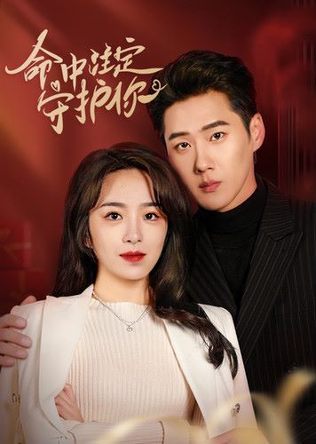 电影：命中注定守护你