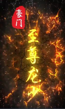 电影：豪门至尊龙少