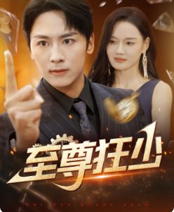 电影：至尊狂少