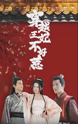 电影：穿越王妃不好惹