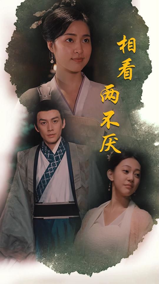 电影:相看两不厌(这个王妃不好惹)