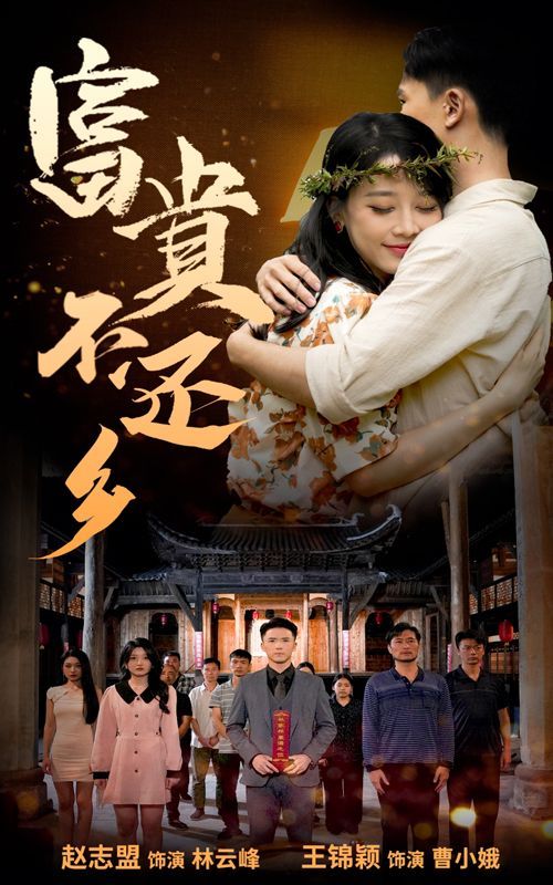 电影:富贵不还乡