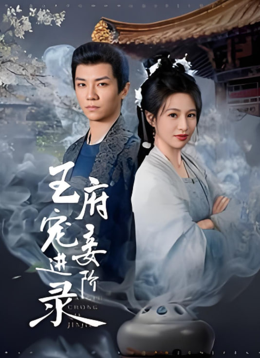 电影：王府宠妾进阶录