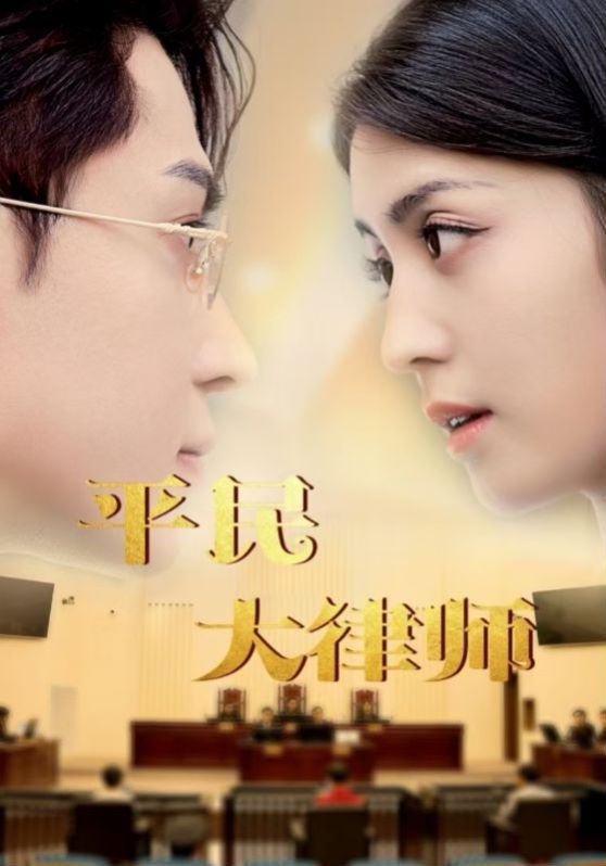 电影:平民大律师