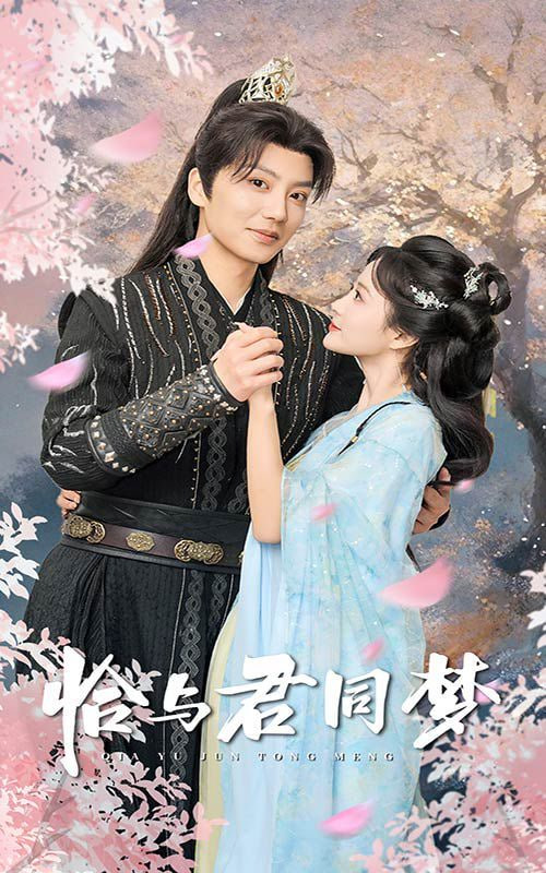 电影：恰与君同梦