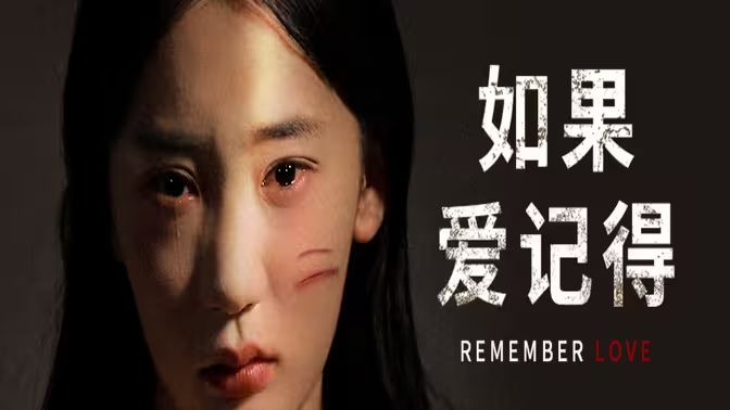 电影：如果爱记得