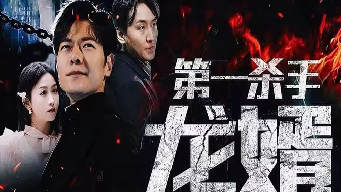 电影：第一杀手龙婿