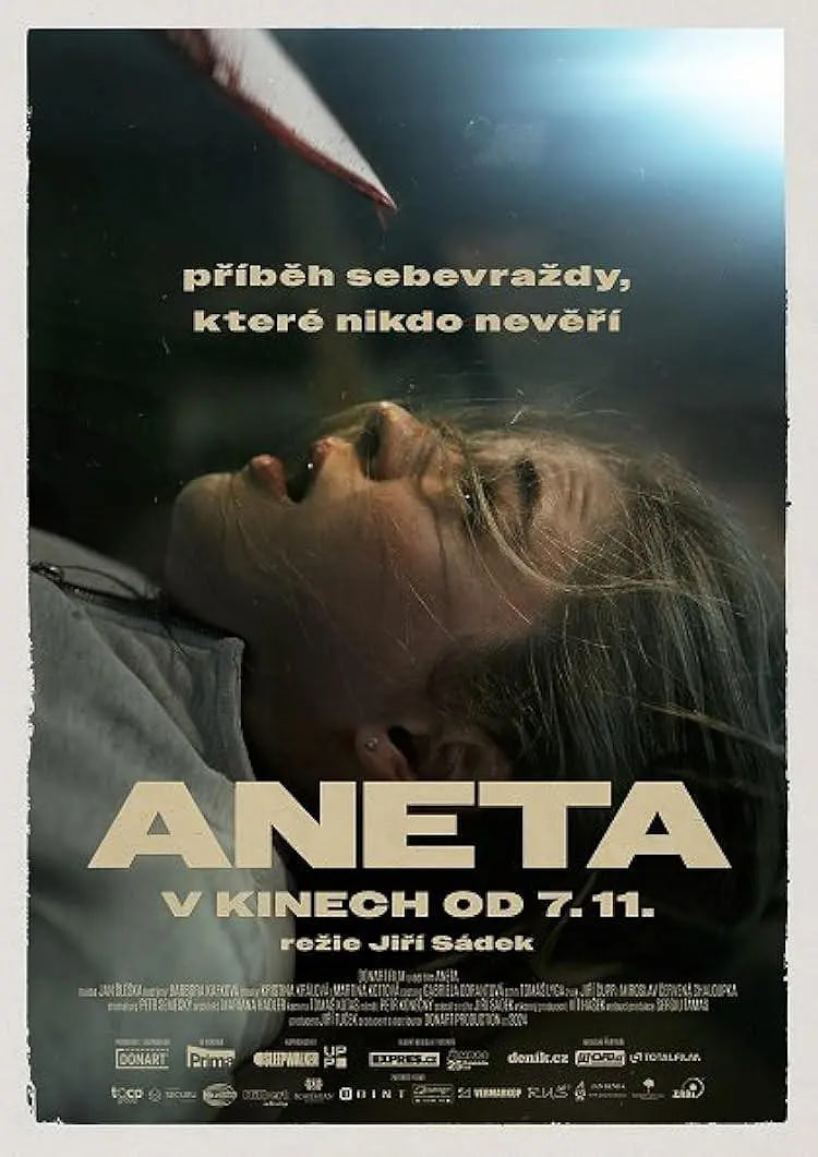 电影:Aneta