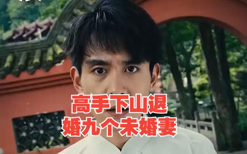 电影:高手下山退婚九个未婚妻