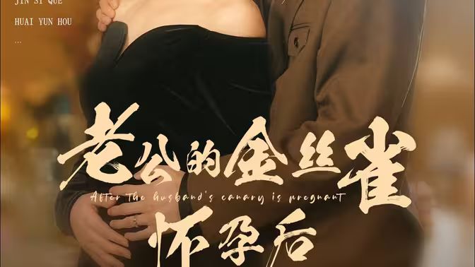 电影：老公的金丝雀怀孕后