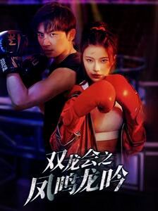 电影：双龙会之凤鸣龙吟