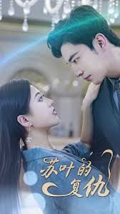 电影:苏叶的复仇