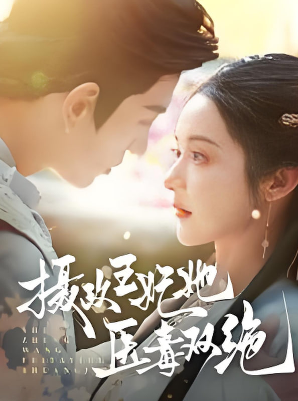 电影：摄政王妃她医毒双绝