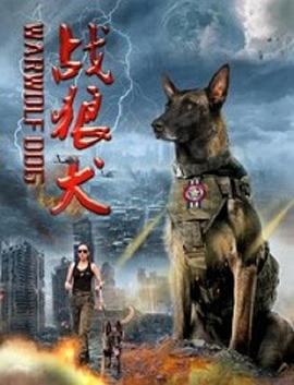 电影:战狼犬