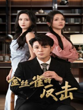 电影：金丝雀的反击