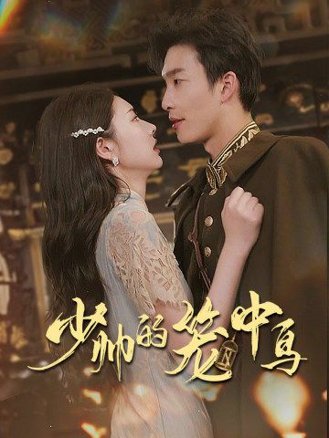 电影:少帅的笼中鸟