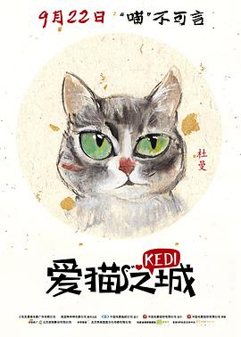 电影：爱猫之城