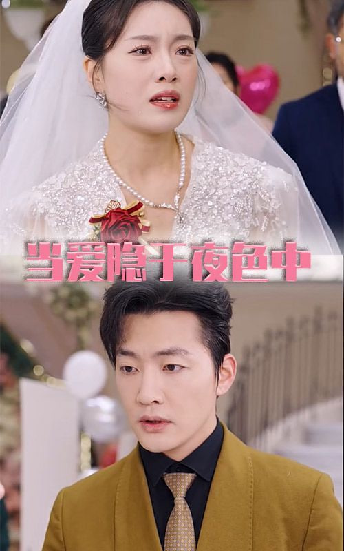 电影：当爱隐于夜色中