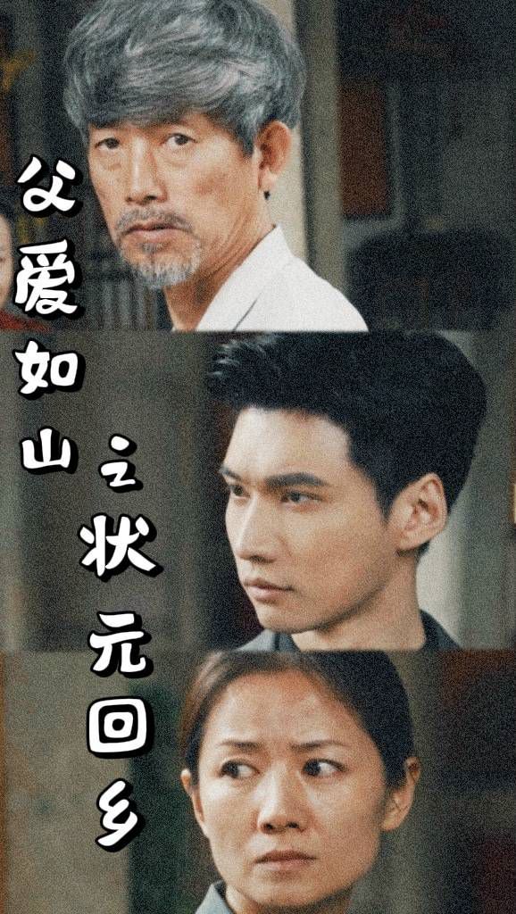 电影:父爱如山之状元回乡