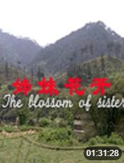 电影：姊妹花开